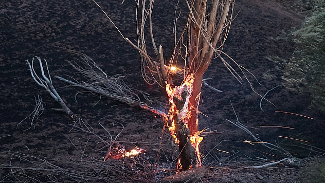 Elazığ'da Yangın: 20 Dönüm Ekili Alan Kül Oldu