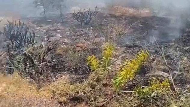 Elazığ'da yangın paniği!