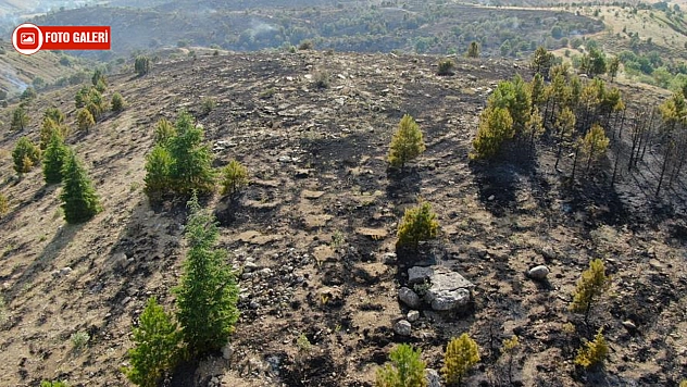 Elazığ'da yangın sonrası yürek yakan görüntüler...