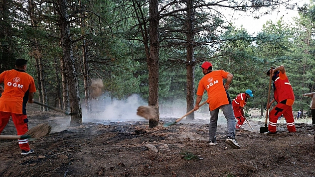 Elazığ'da yangınla mücadelede tarihi başarı: Yüzde 500'lük düşüş