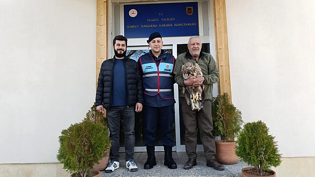 Elazığ'da yaralı kaya kartalına jandarma şefkati