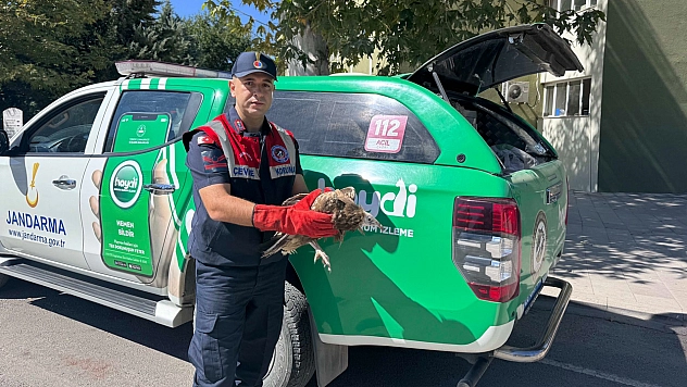 Elazığ'da yaralı kuş koruma altına alındı