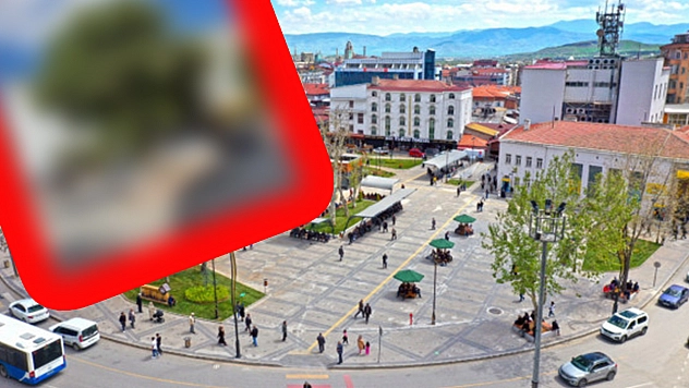 Elazığ'da yıllara ve yollara meydan okuyan güzellik