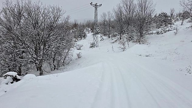 Elazığ'da yoğun kar yağışı  köy yollarını kapattı