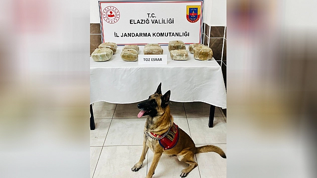 Elazığ'da yolcu otobüsünde 14 kilo esrar ele geçirildi