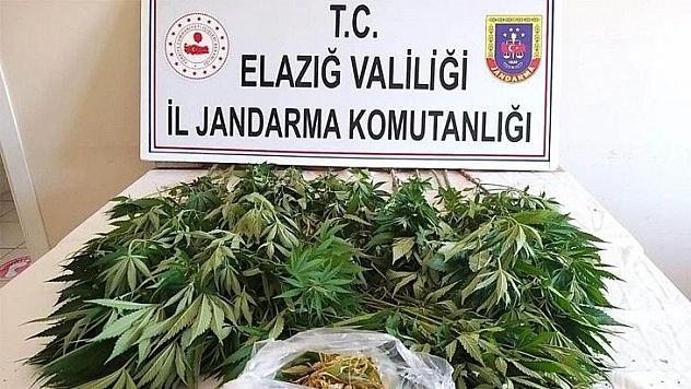 Elazığ'da zehir tacirlerine operasyon, 17 kilo esrar ele geçirildi
