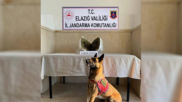 Elazığ'da ZIH'tan Uyuşturucuya Geçit Yok 