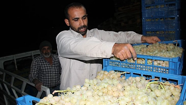 Elazığ'dan 8 Ülkeye 3 Bin Ton Üzüm İhracatı