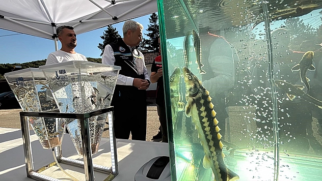 Elazığ'dan dünyaya siyah havyar: Gramı 1 Euro'ya satılıyor