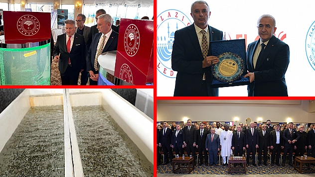 Elazığ'dan dünyaya siyah havyar hamlesi