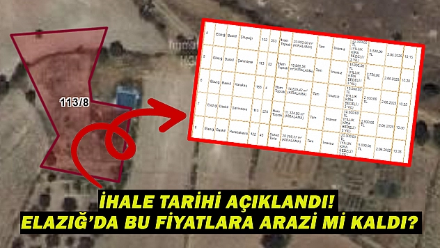 Elazığ'da hazineye ait taşınmazlar kiraya verilecek: Elinizden kayıp gitmeden harekete geçin!