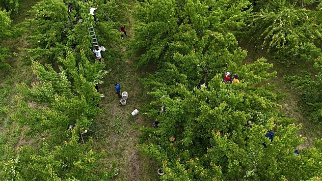 Elazığ İle Malatya Arasındaki Yarışa Bir İl Daha Katıldı