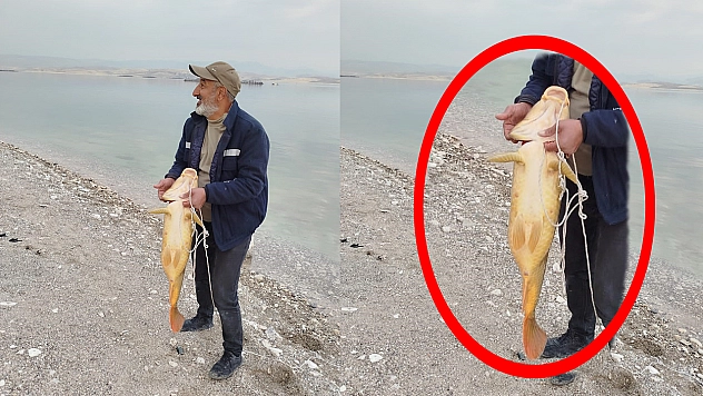 Elazığ'ın bereketli sularında  Kilolarca ağırlığındaki balık