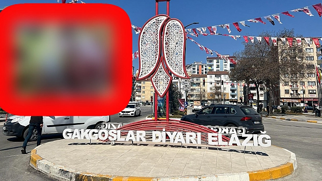 Elazığ'ın bu patlıcanı bildiklerinizden farklı