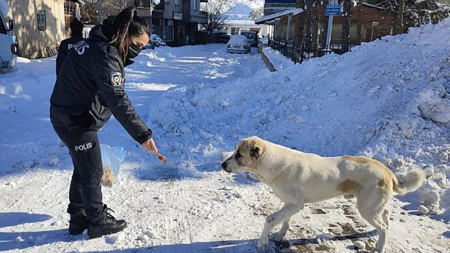 Elazığ Polisi Sokak Hayvanlarını Unutmadı