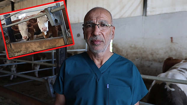 Elazığ Veterinerler Odası Başkanı: 'Şap hastalığı hızlı ilerler'