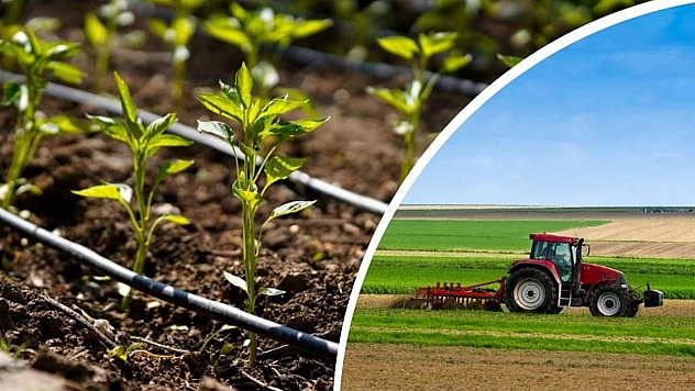 Elazığlı çiftçilere müjde!