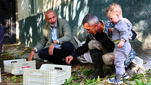 Elazığlı öğretmen 35 dönümlük bahçesinde ceviz üretiyor
