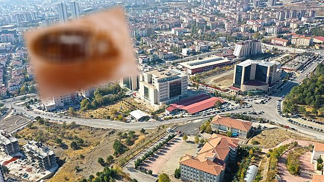 Elazığlılar Dikkat! Evinize Girerse 300 Gün Yaşıyor!