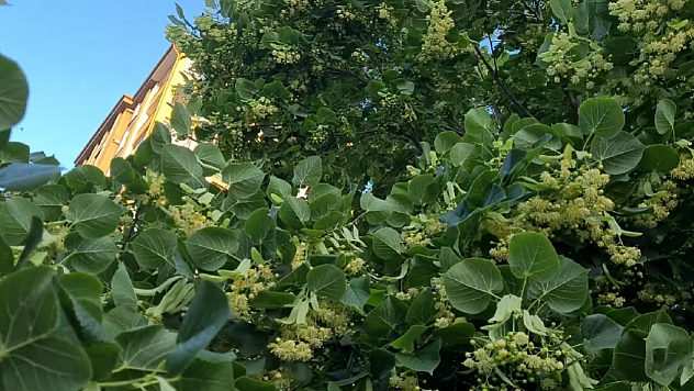 Elazığlılar en çok soğuk havada tüketiyor! Boğaz ağrısını saniyeler içinde kesiyor