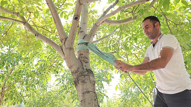 Elazığlıların beklediği gün geldi!