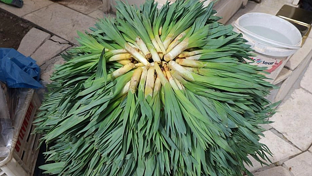 Elazığlıların doğal antibiyotiği tezgahlardaki yerini aldı