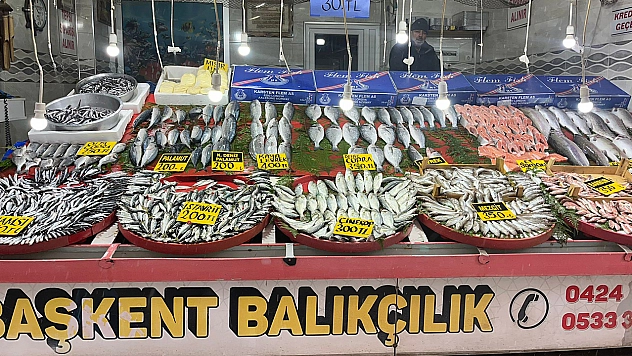 Elazığlıların vazgeçilmez balığı cep yakıyor