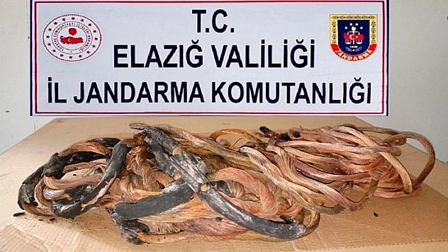 Erzurum'da çaldılar Elazığ'da yakalandılar