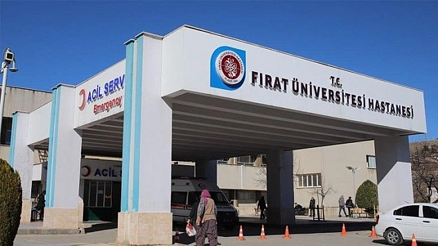 Eşek, çocuğun kafasını ısırdı