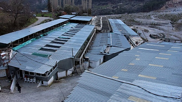 Fethiye'deki Alabalıkçıların su kavgası