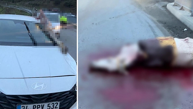 Feci kazada dehşete düşüren görüntü! Atın kopan bacağı otomobile saplandı