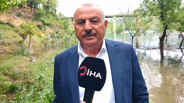 Fırat Nehri'nde akıntı arttı: Binlerce balık kıyıya akın etti