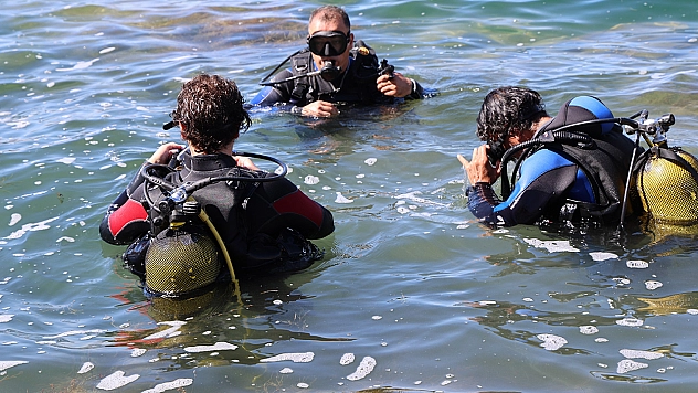 Fırat Nehri'nde dalış: Su altındaki zenginlikler görüntülendi
