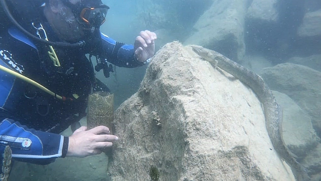 Fırat ve Dicle'nin zenginlikleri gün yüzüne çıkıyor