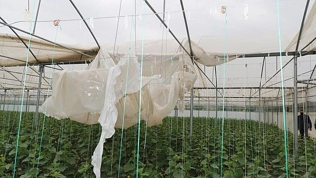 Fırtına bazı seralara zarar verdi