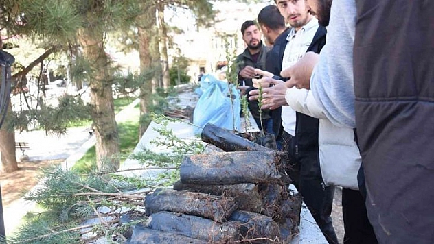 Genç'te vatandaşlara fidan dağıtıldı