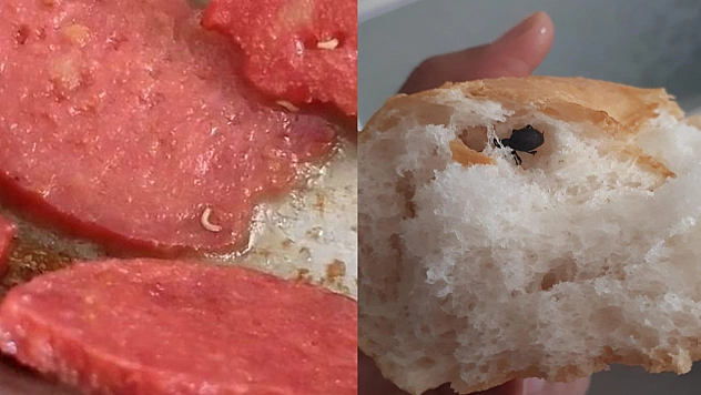 Gıda Güvenliğimiz Yok