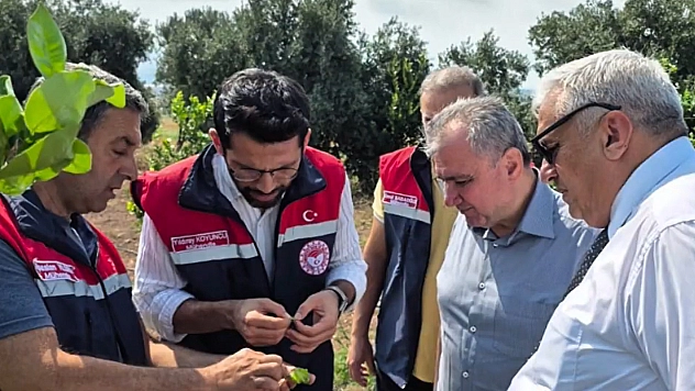 Gıda ve Kontrol Genel Müdürlüğü'nden B-Reçete vurgusu