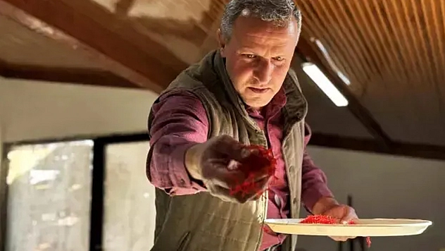 Gramı 600 TL'ye dayanan ürünün hasadı başladı