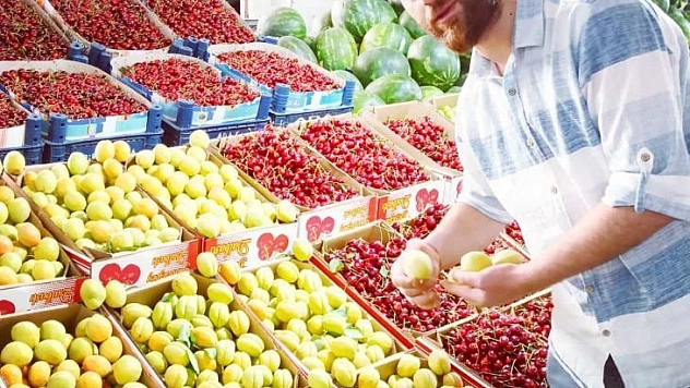 Hasadı başlayan yaş kayısı en pahalı meyve olarak dikkat çekiyor