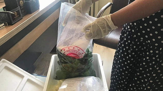 Hasat öncesi biberlerde pestisit denetimi yapıldı