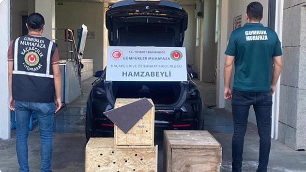 Hayvan kaçakçılığına darbe: 4 yaban hayvanı kurtarıldı
