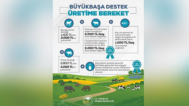 Hayvancılık desteklerinde büyük artış: Üreticilere müjde