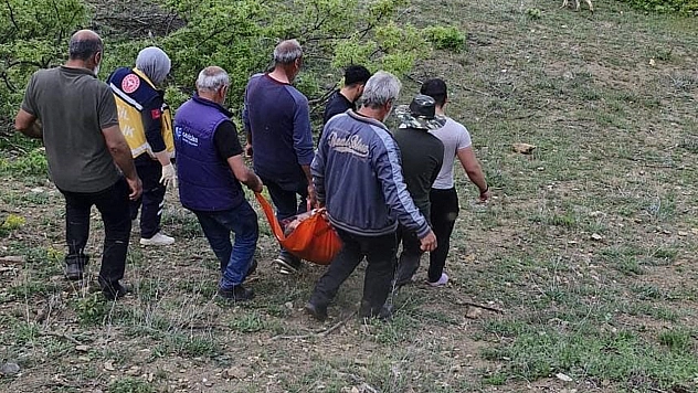 Hayvanlarını Otlatan Şahsa Ayı Saldırdı!