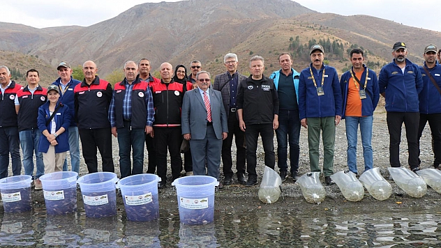 Hazar Gölü'nde Binlerce Balık Doğaya Salındı