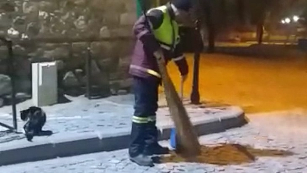 Hem Çevreyi Temizliyor Hem De Sokak Kedisine Süpürgesi İle Masaj Yapıyor