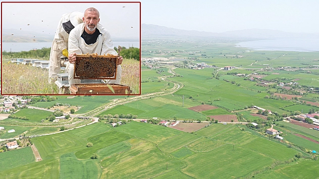 İklim değişikliği balın tadını kaçırdı