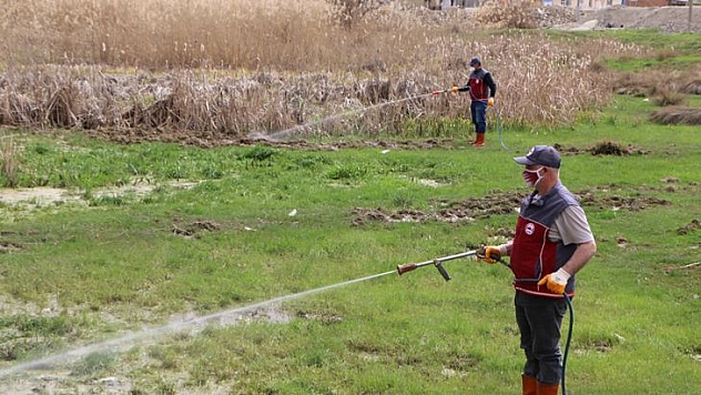 İlaçlama Çalışmalarına Başlanıldı