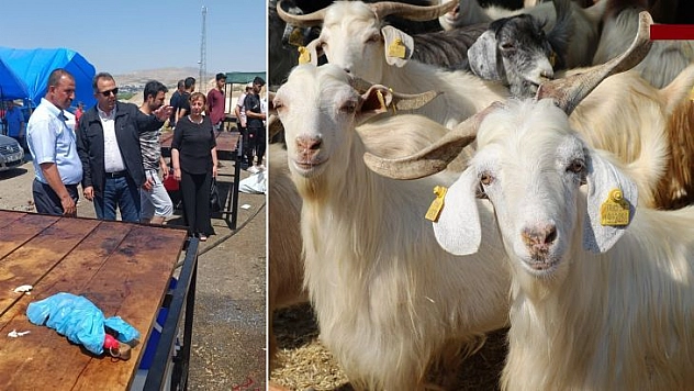 İlimizde Kurban Bayramı Sorunsuz Geçti