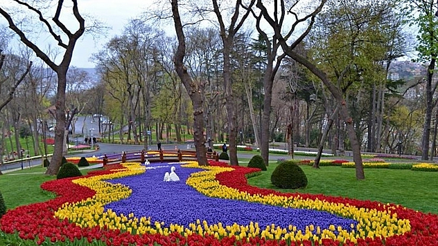 İşte zirvede ki o il!